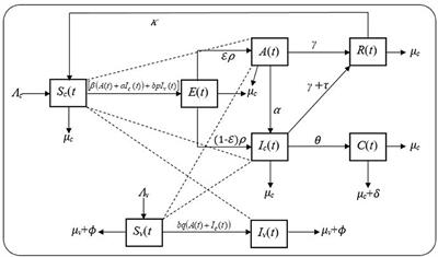 Mathematical modeling for the control of fly-borne mastitis disease in cattle